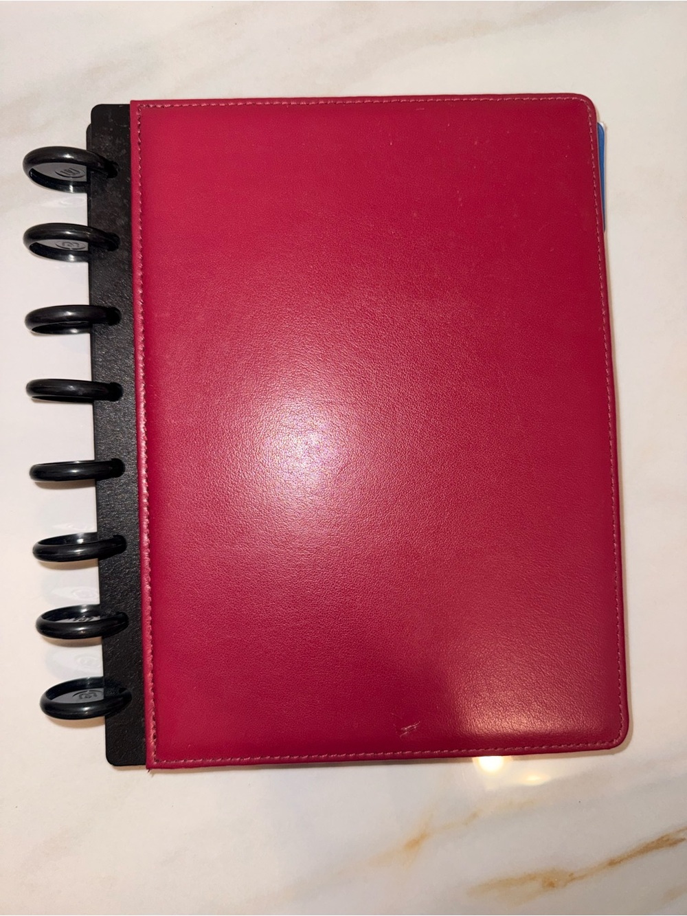 Pink Disc-Bound Notebook Planner